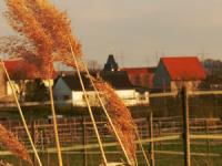 Selztalradweg Framersheim